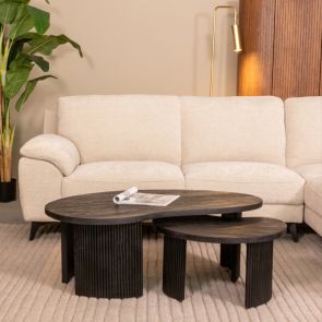 Couchtisch Set Timon 100x58x40 cm